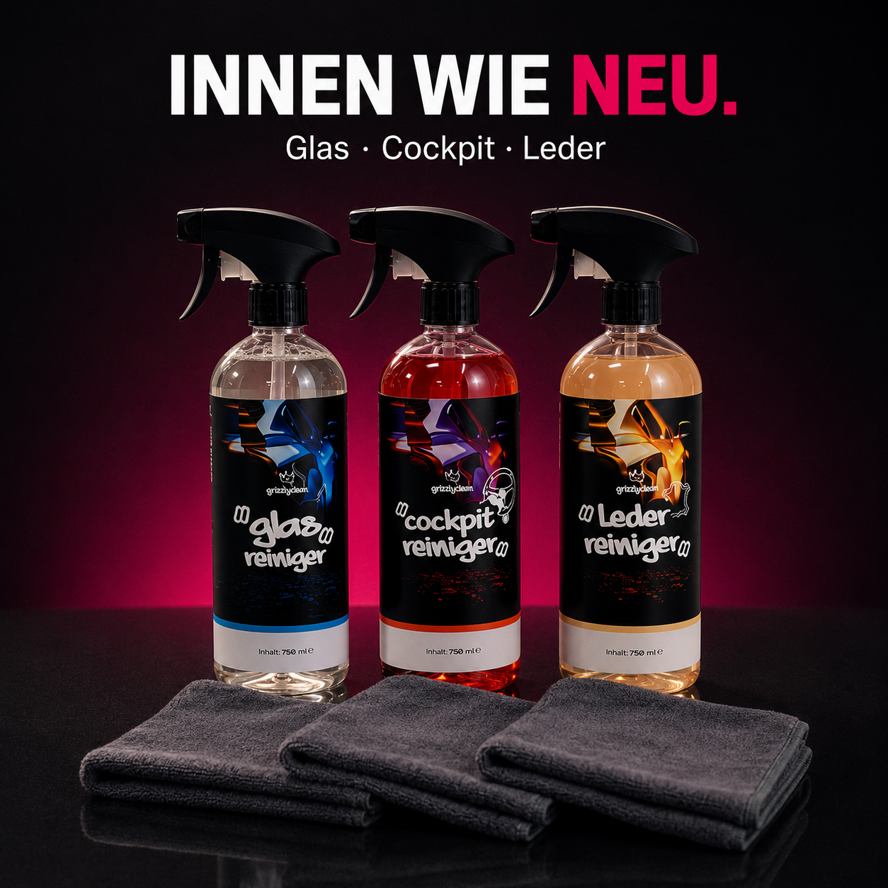 GrizzlyClean Innenwäsche Spar Set