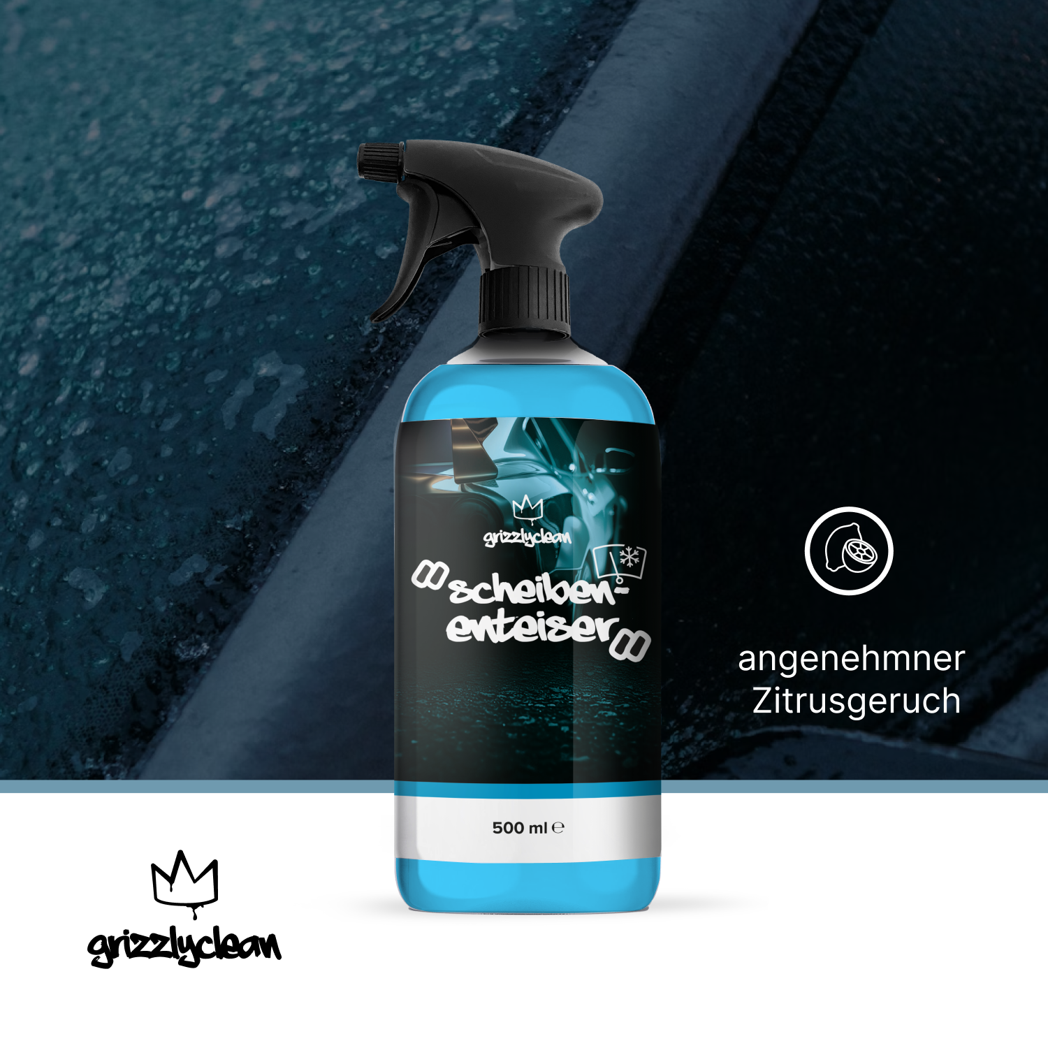 Scheibenenteiser Spar Set