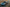 Ringbrothers Octavia – Aston Martin DBS mit 800 PS neu interpretiert