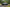 Honda NSX-R (NA1) – 483 Stück, 280 PS & über 300.000 € wert?