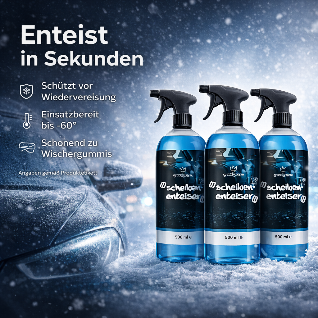 Scheibenenteiser Spar Set