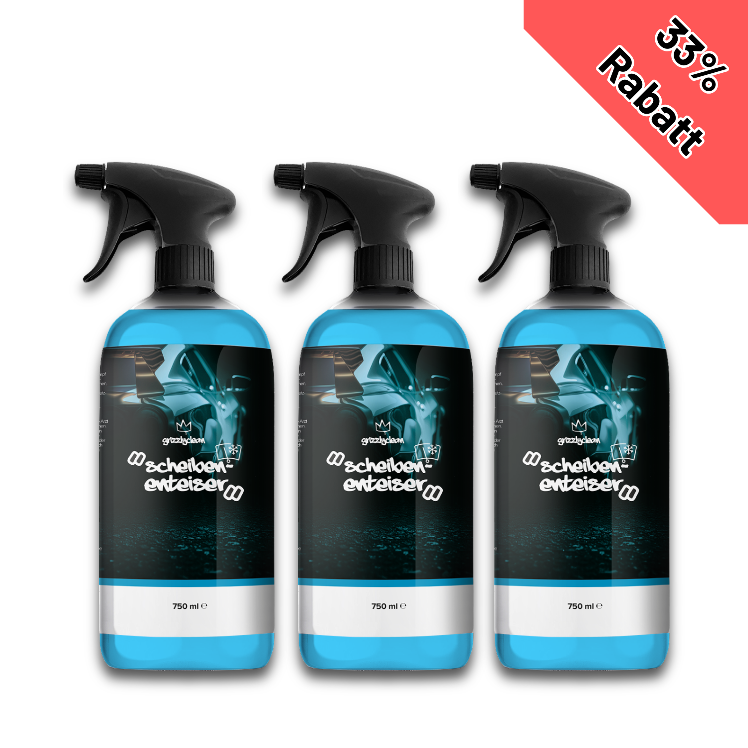 Scheibenenteiser Spar Set