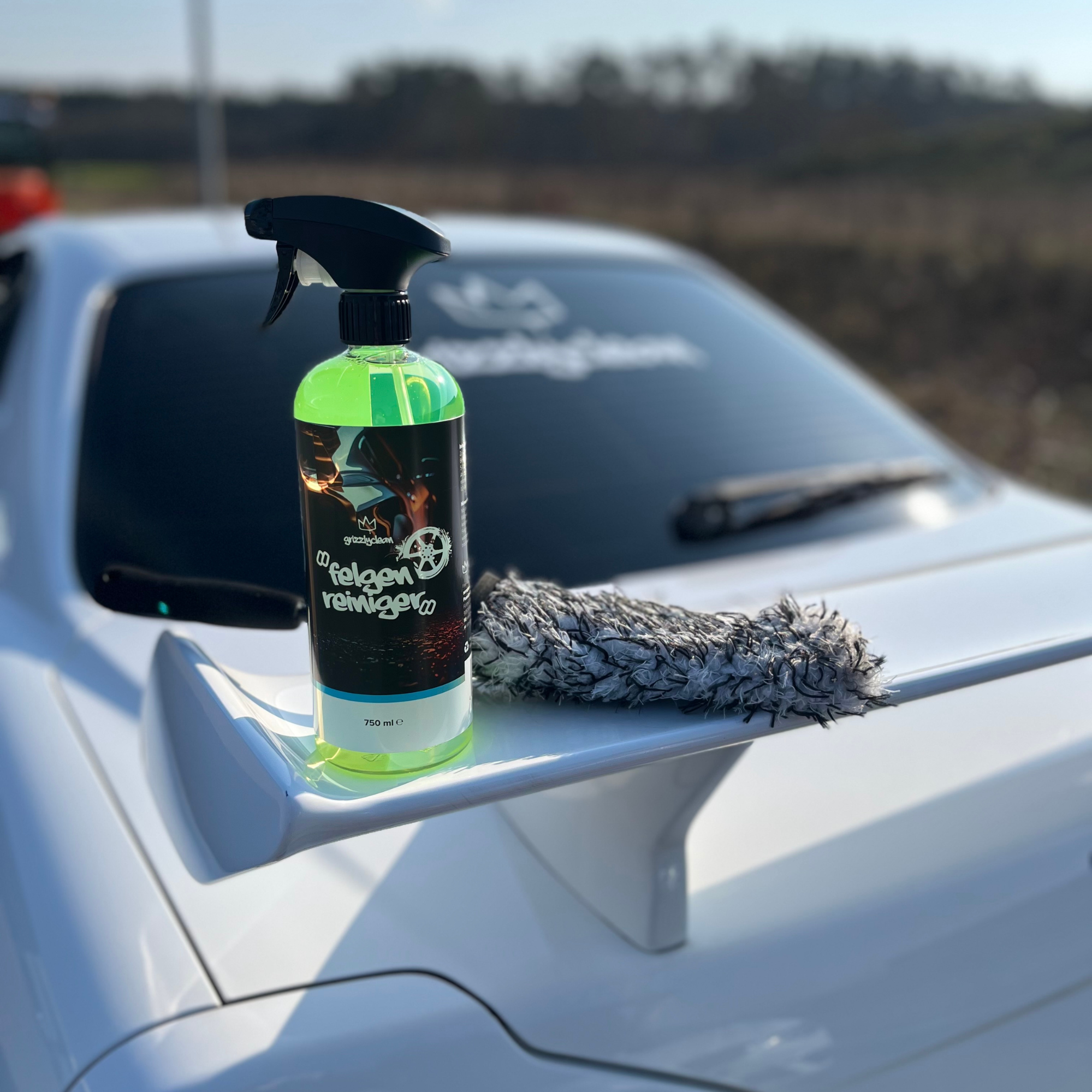 GrizzlyClean Felgen Set