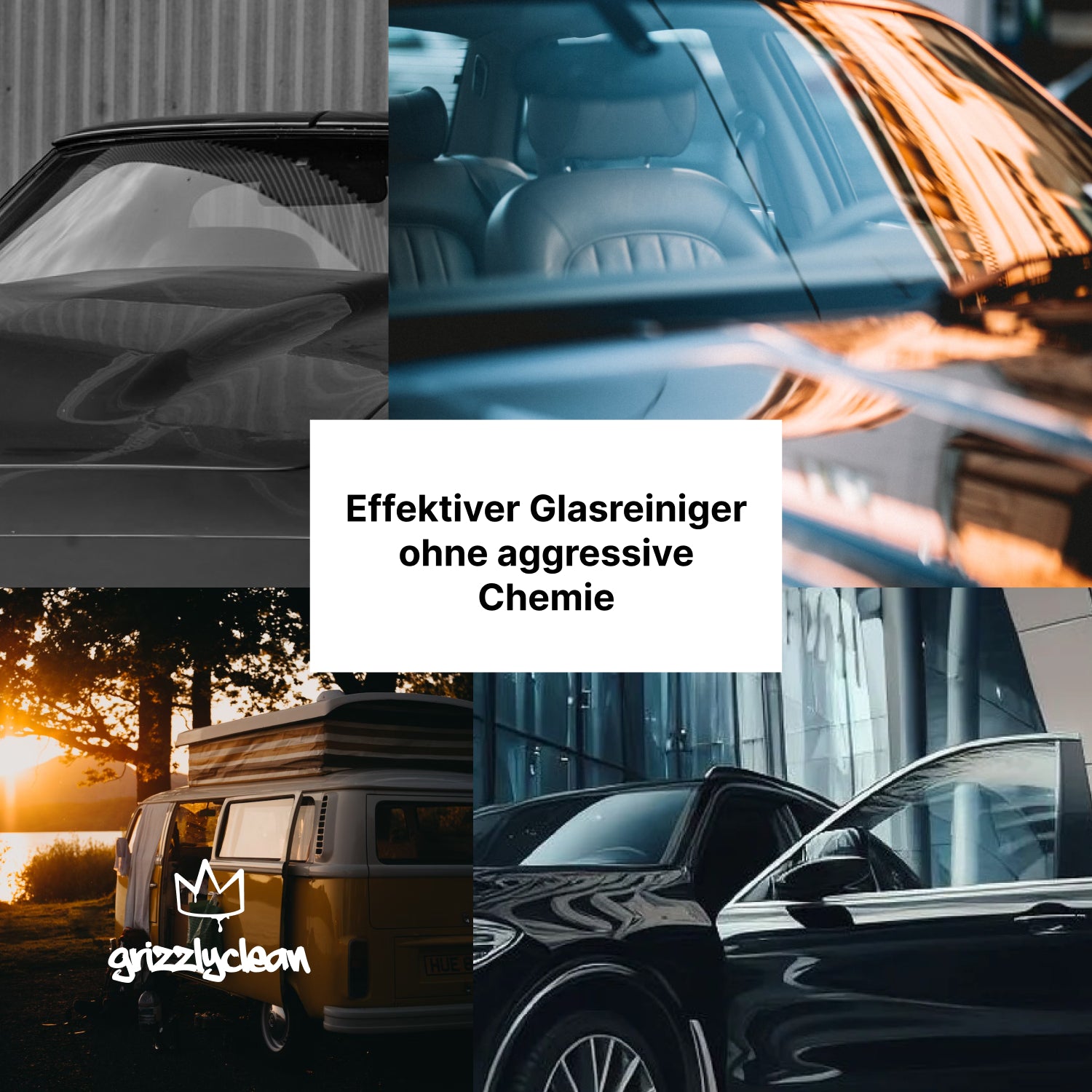 Glasreiniger Auto
