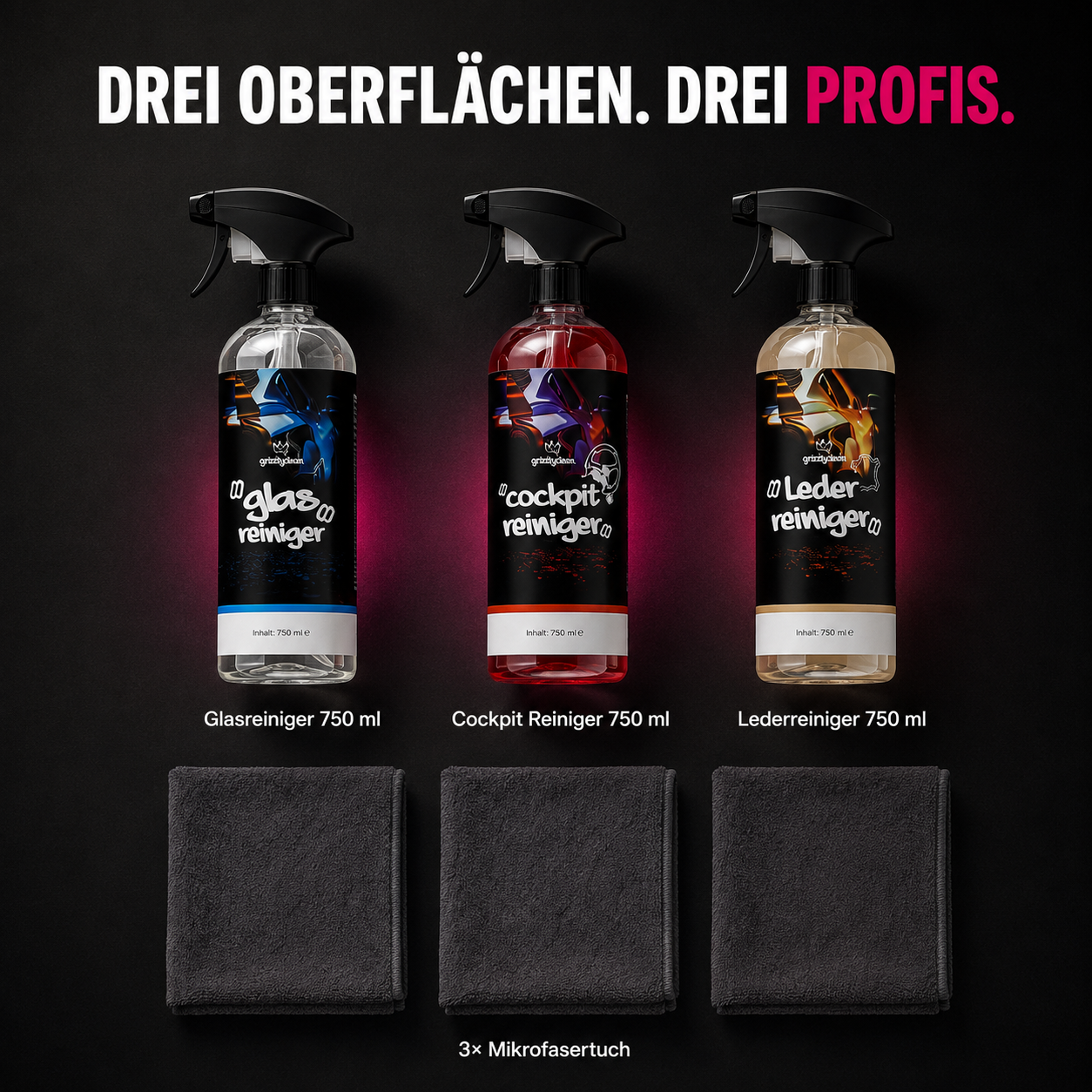 GrizzlyClean Innenwäsche Spar Set