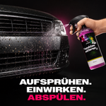 Insekten vom Auto entfernen – löst eingebrannte Reste ohne Schrubben