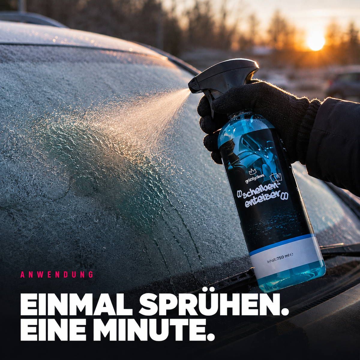 GrizzlyClean Scheibenenteiser