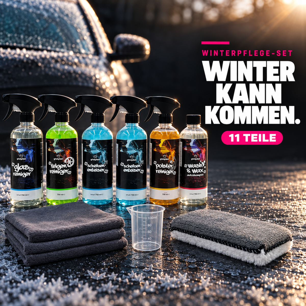 Auto Winterpflege Set, 11 Teile