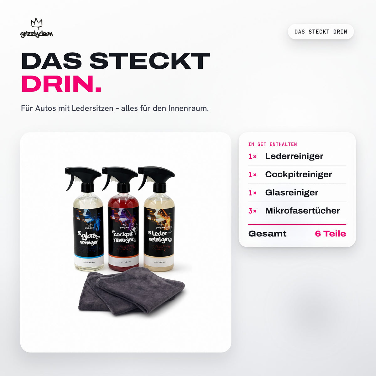 GrizzlyClean Innenraumreiniger Set Leder, 6 Teile