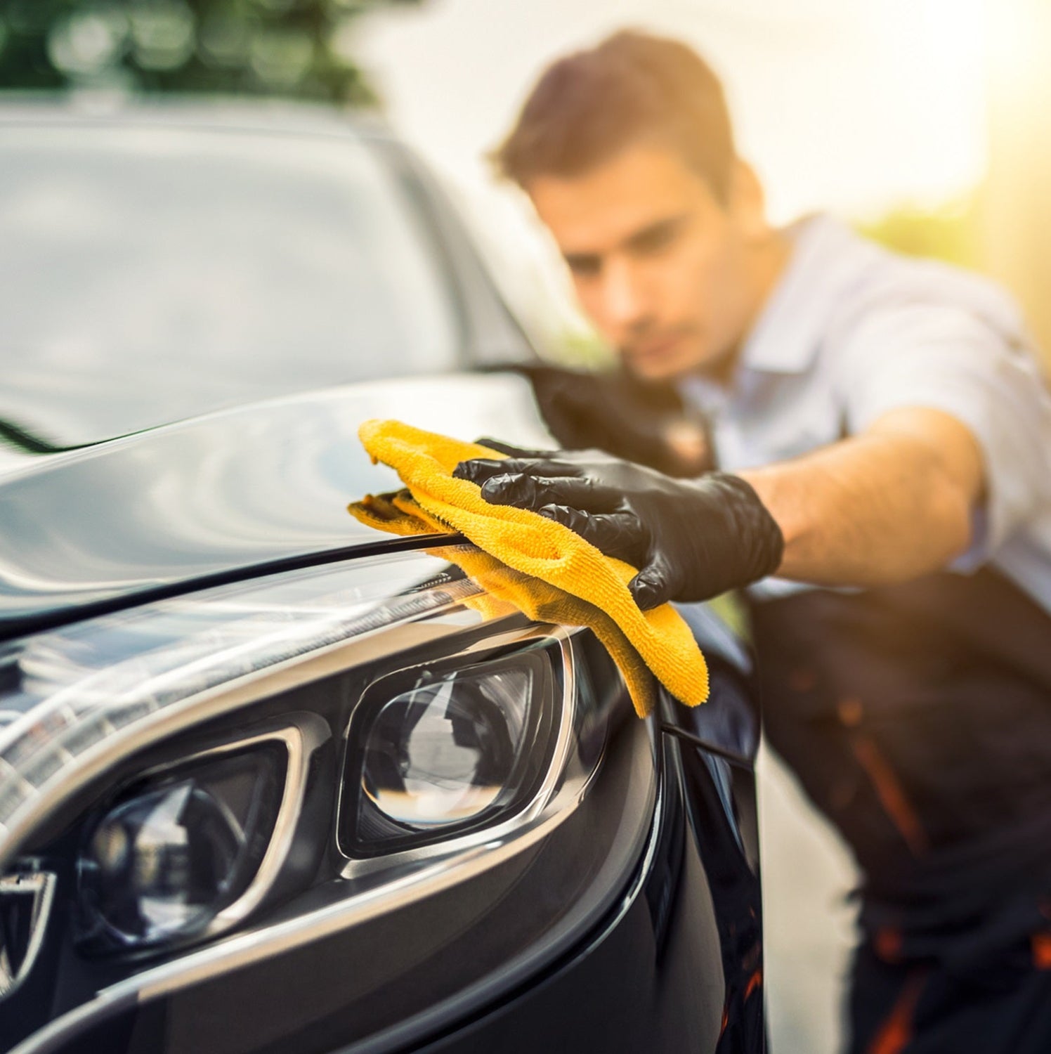 grizzlyclean gute reiniger reinigungsmittel autowäsche autoreinigung auto waschen putzen pflegen reinigen sauber insektenentferner insekten entferner 