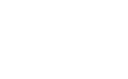 GrizzlyClean | Reiniger & Reinigungsmittel für dein Auto